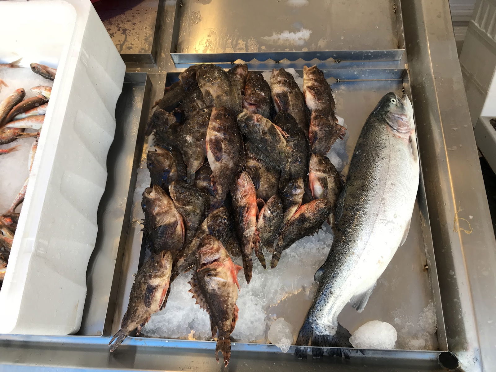 Ordu Çınar Balık Evi