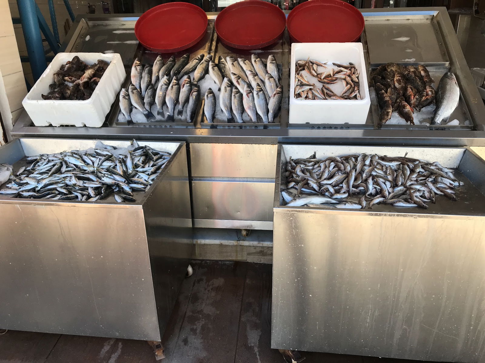 Ordu Çınar Balık Evi