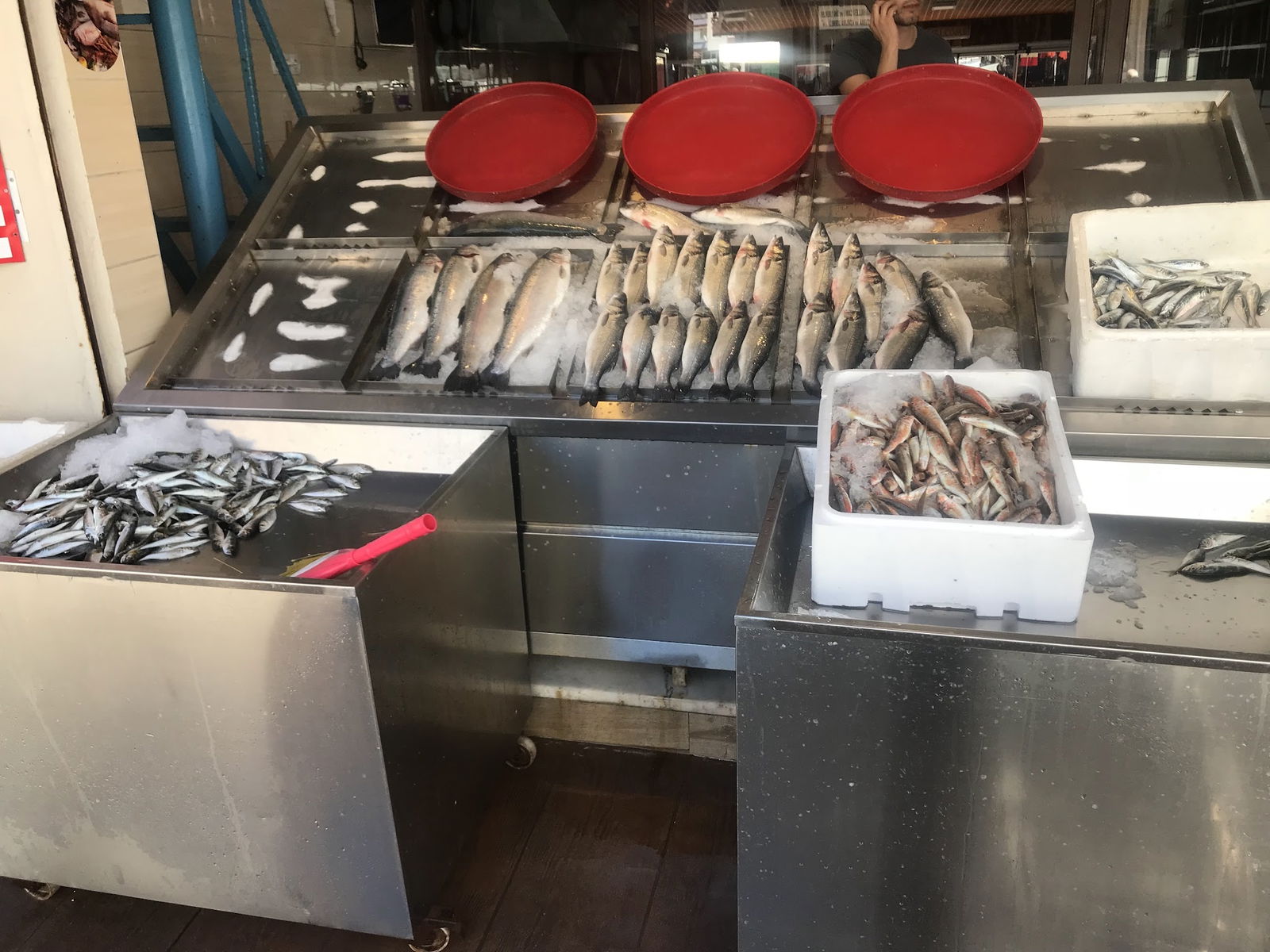 Ordu Çınar Balık Evi