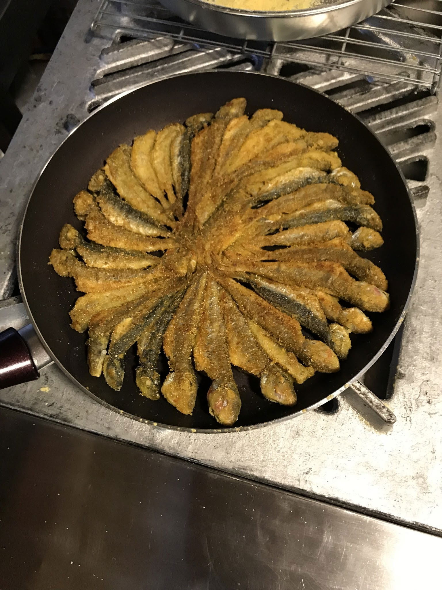 Ordu Çınar Balık Evi