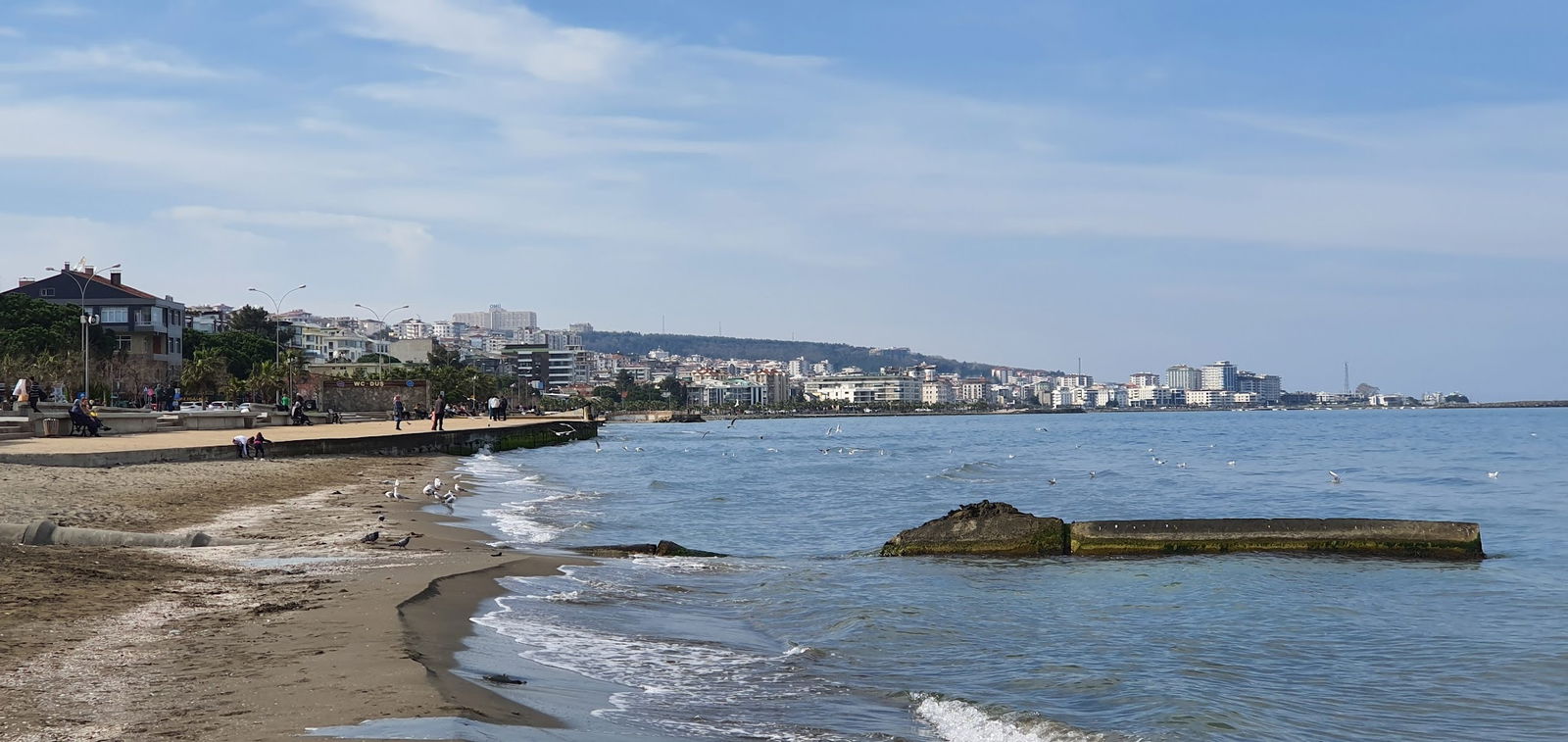 Nesh | Waffle · Burger · Coffee