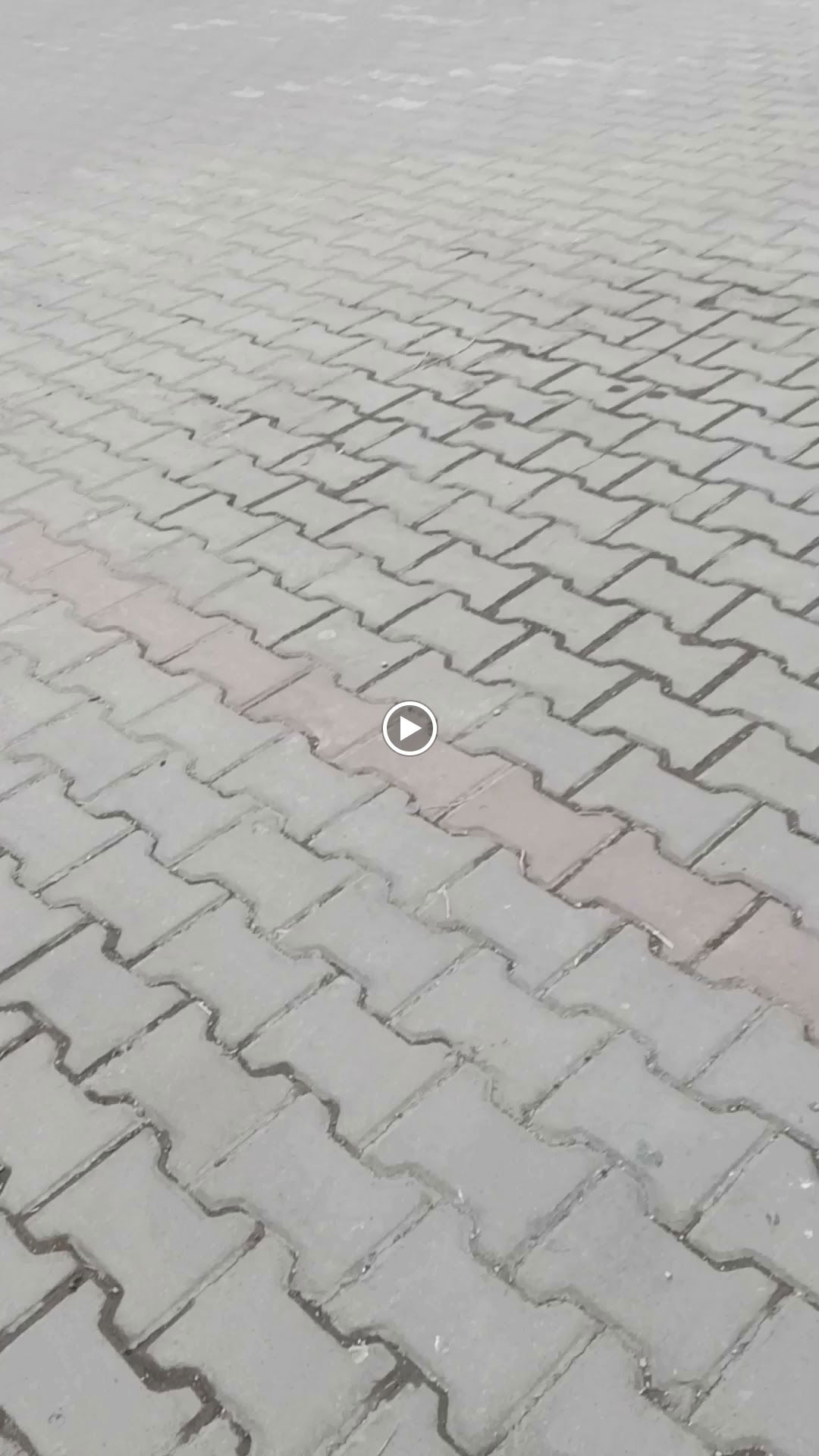 Semerkand Kültür Merkezi Ankara