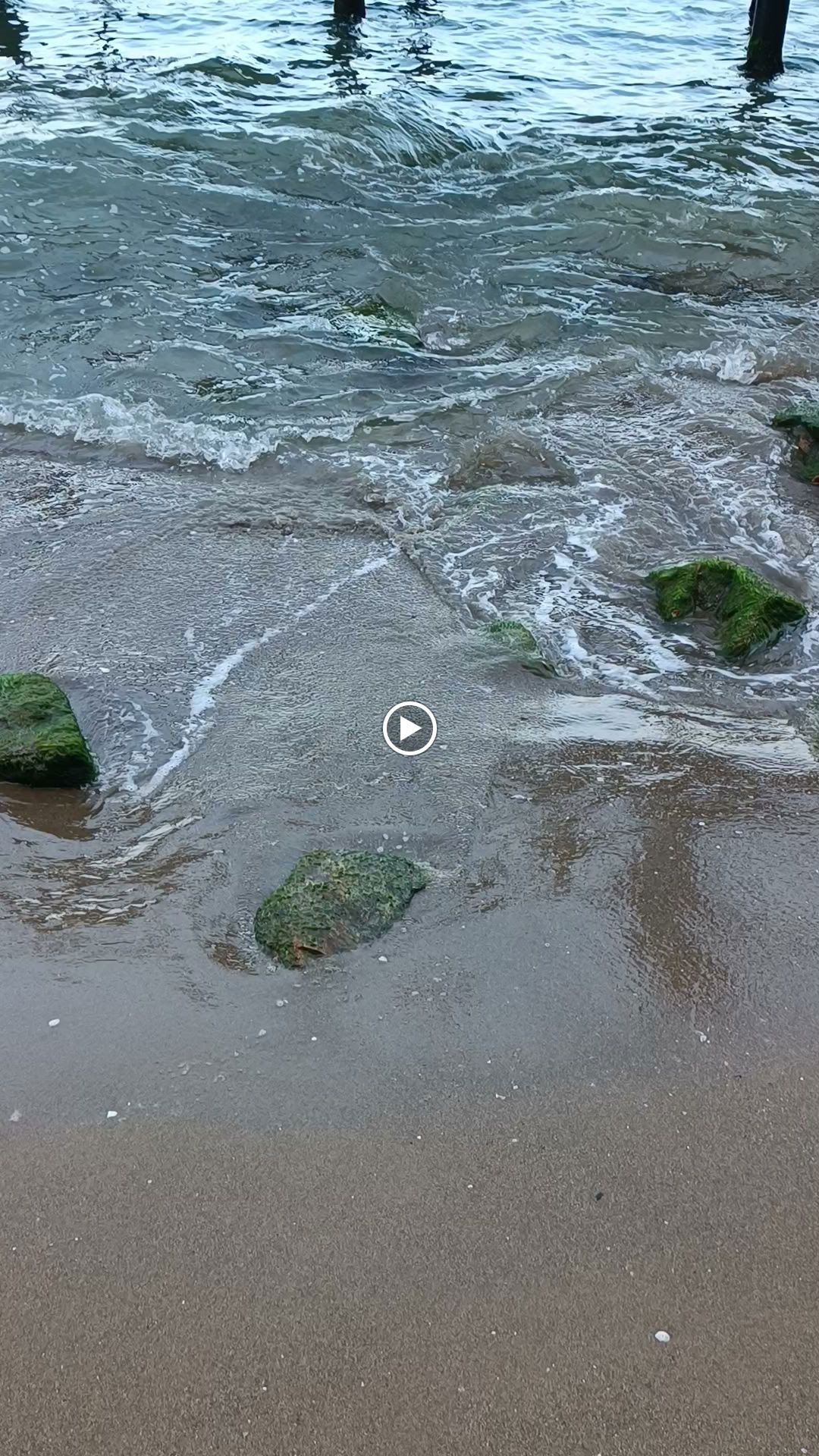 Semerkand Kültür Merkezi Ankara