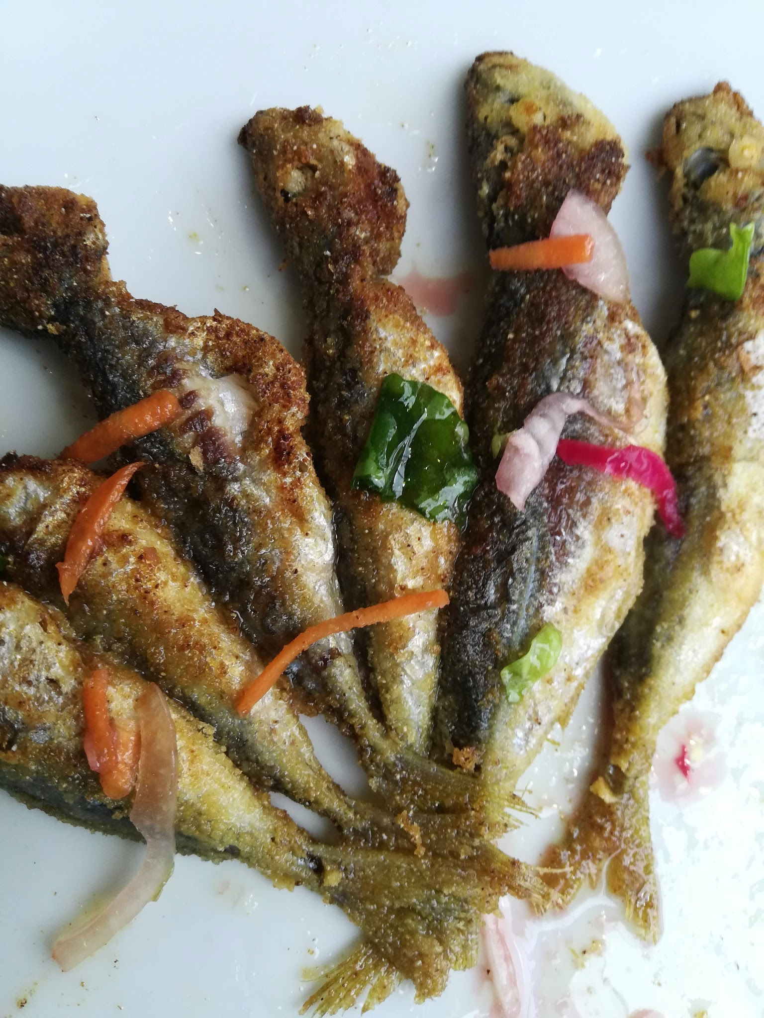 Yunus Balıkçılık