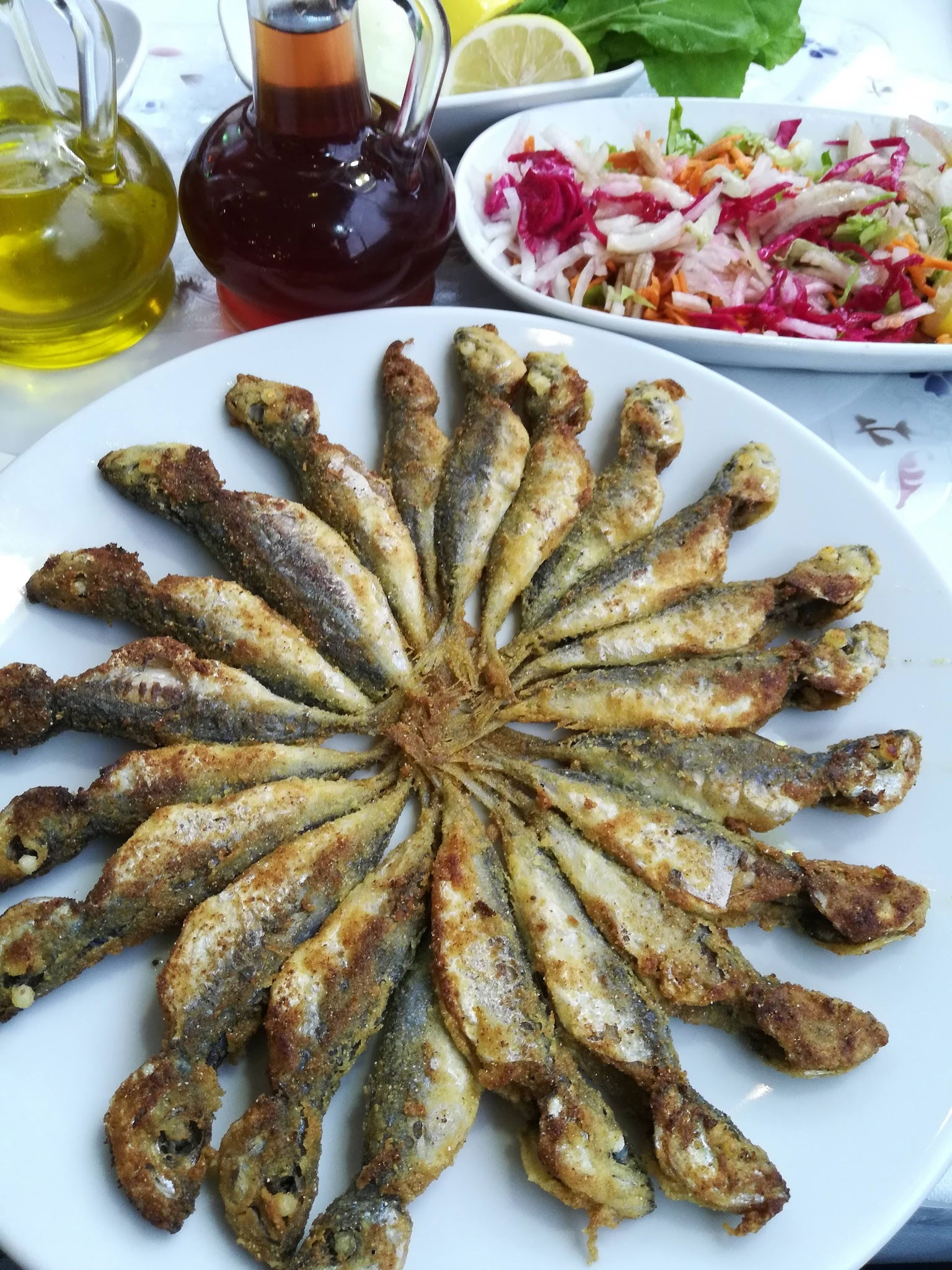 Yunus Balıkçılık