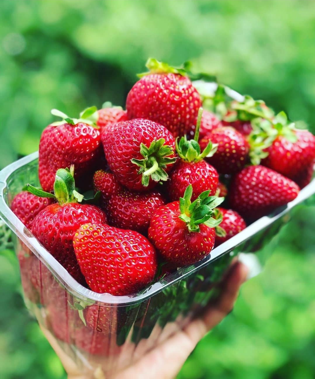 Daldo Waffle ️ Etimesgut