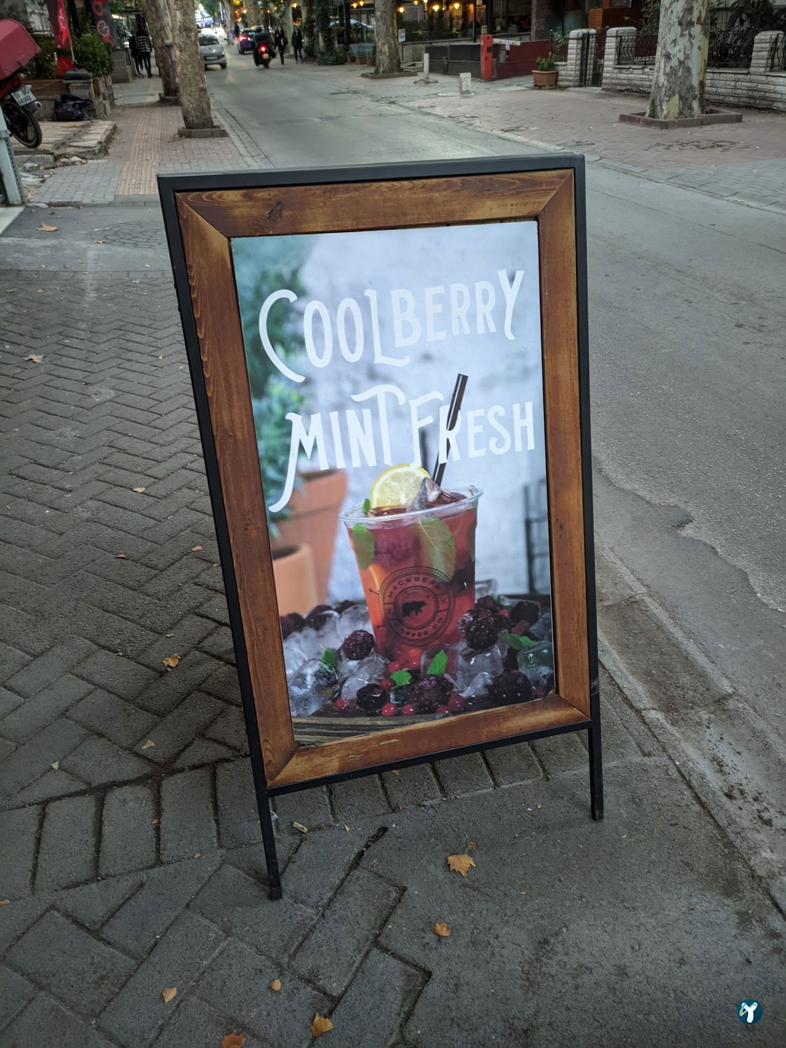 Mackbear Coffee Co. (Ankara / 69. Sokak)