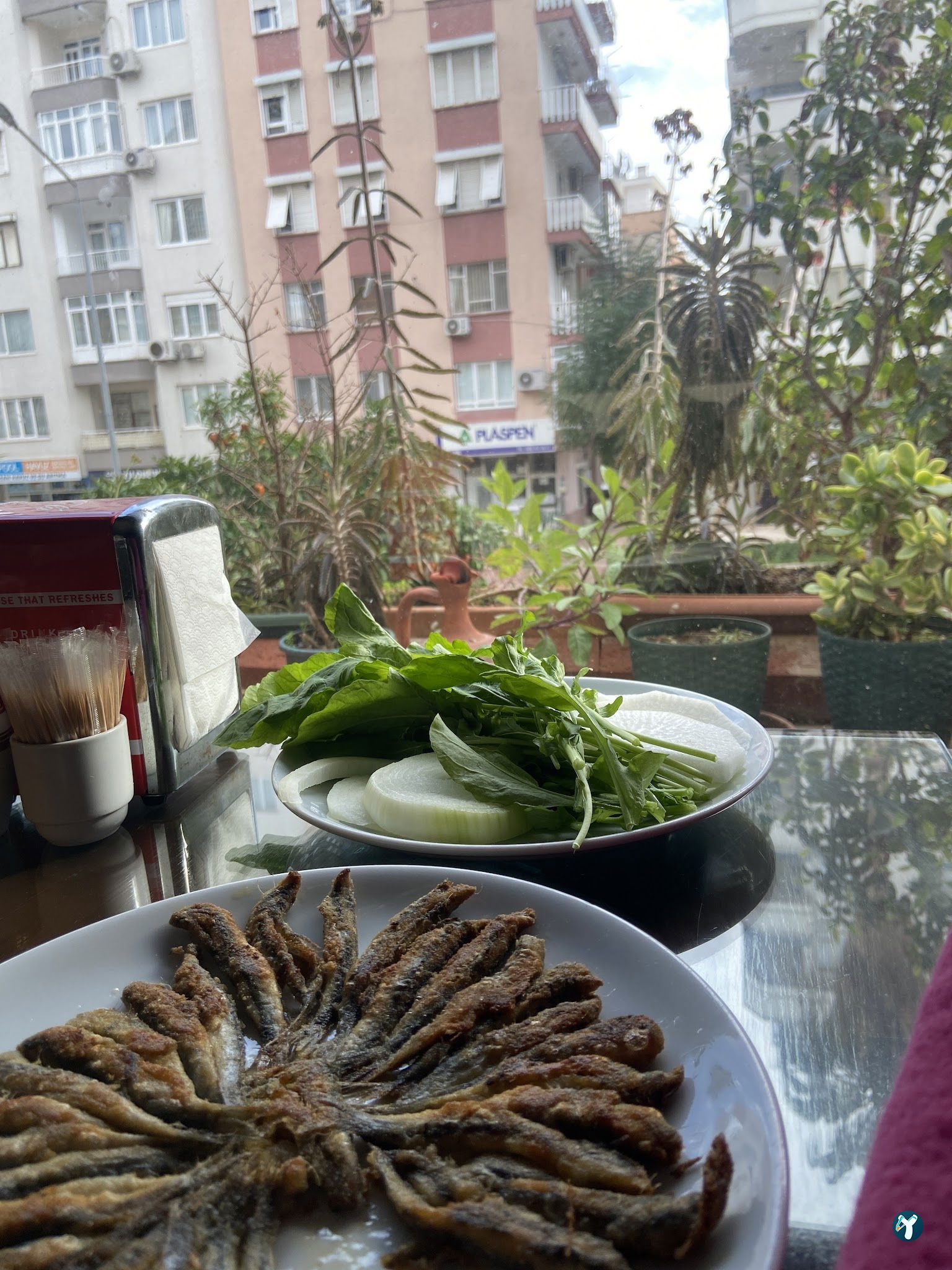 Hamsicim Balık Evi