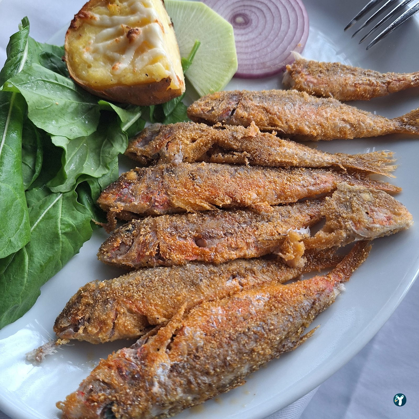 Köz Balık Dragos