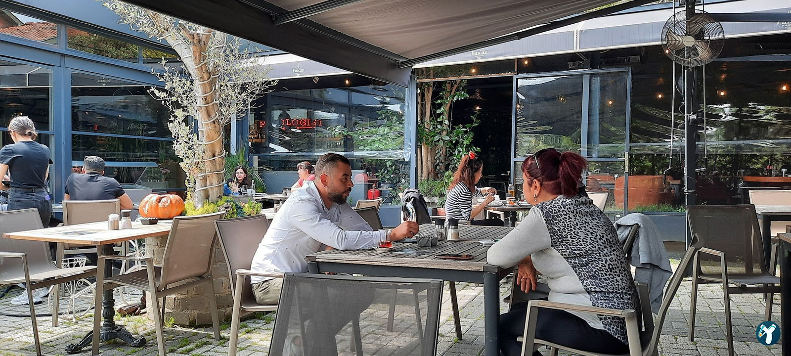 Fincan Cafe