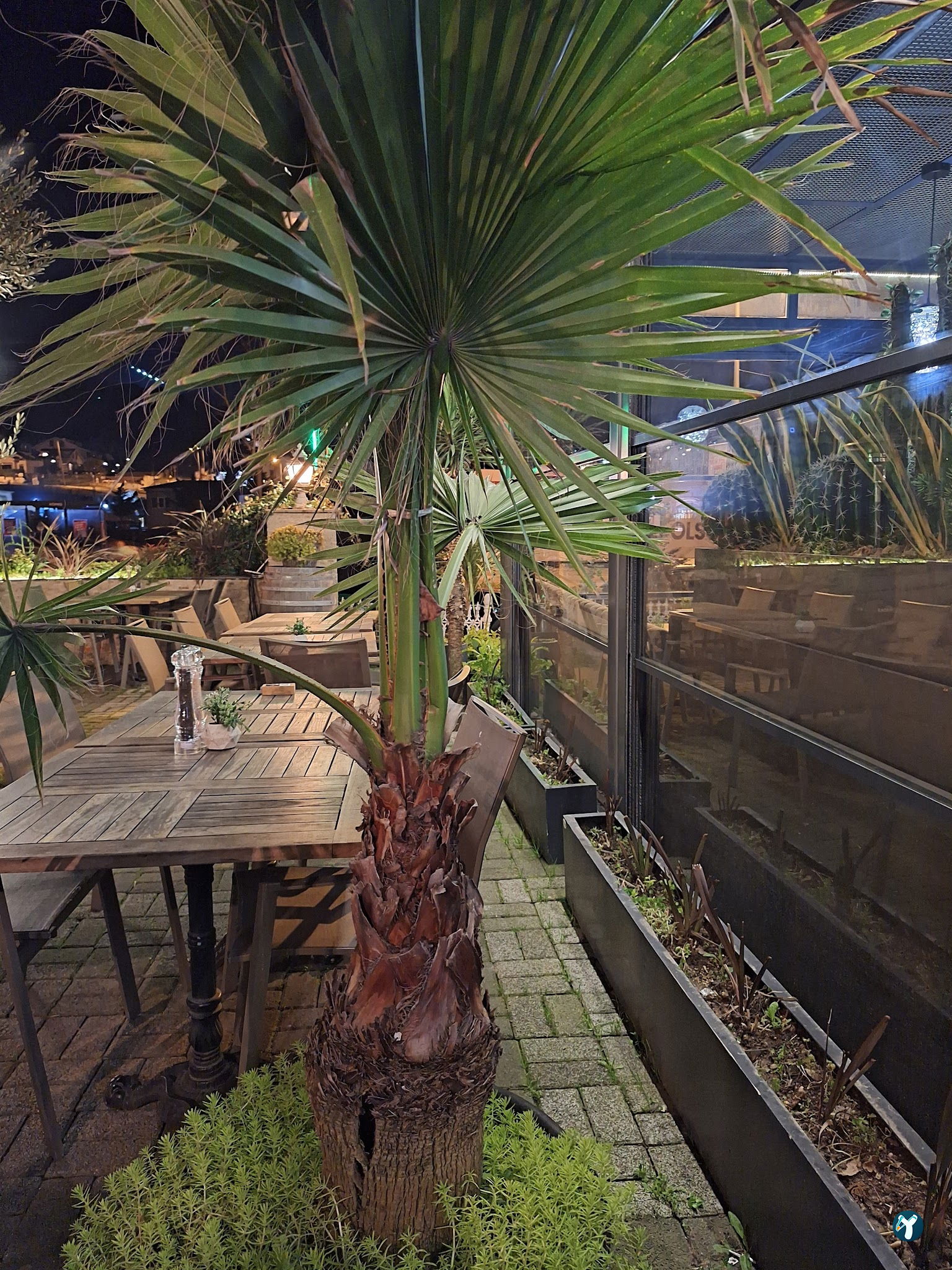 Fincan Cafe