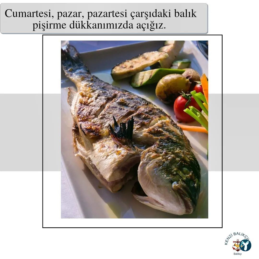 Kenzi Balikçilik