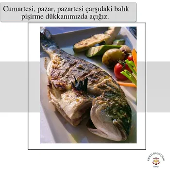 Kenzi Balikçilik resimleri