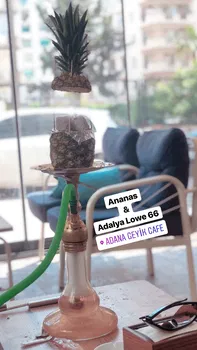 Geyik Nargile Cafe resimleri