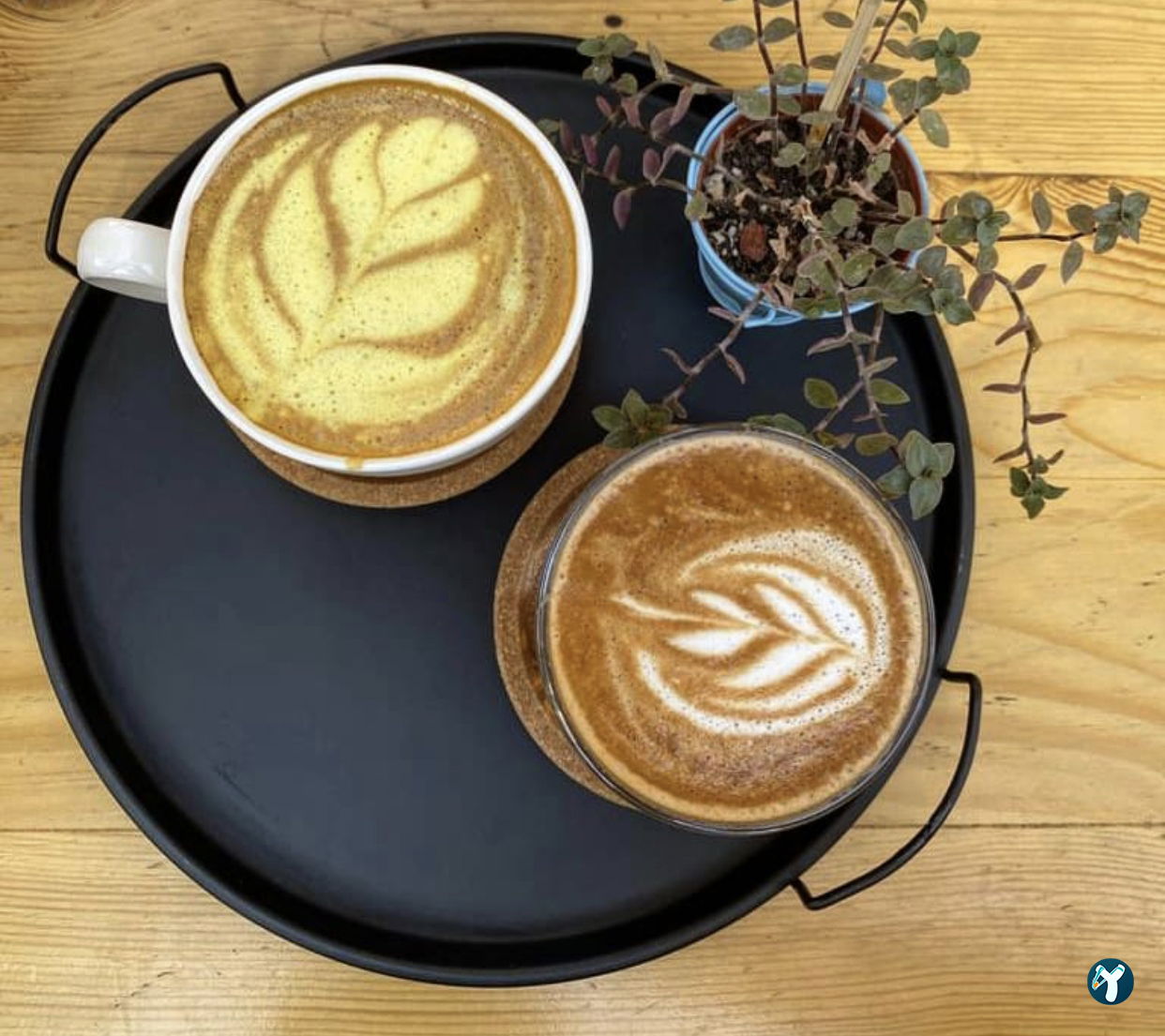 Renkli Bahçe Kafe