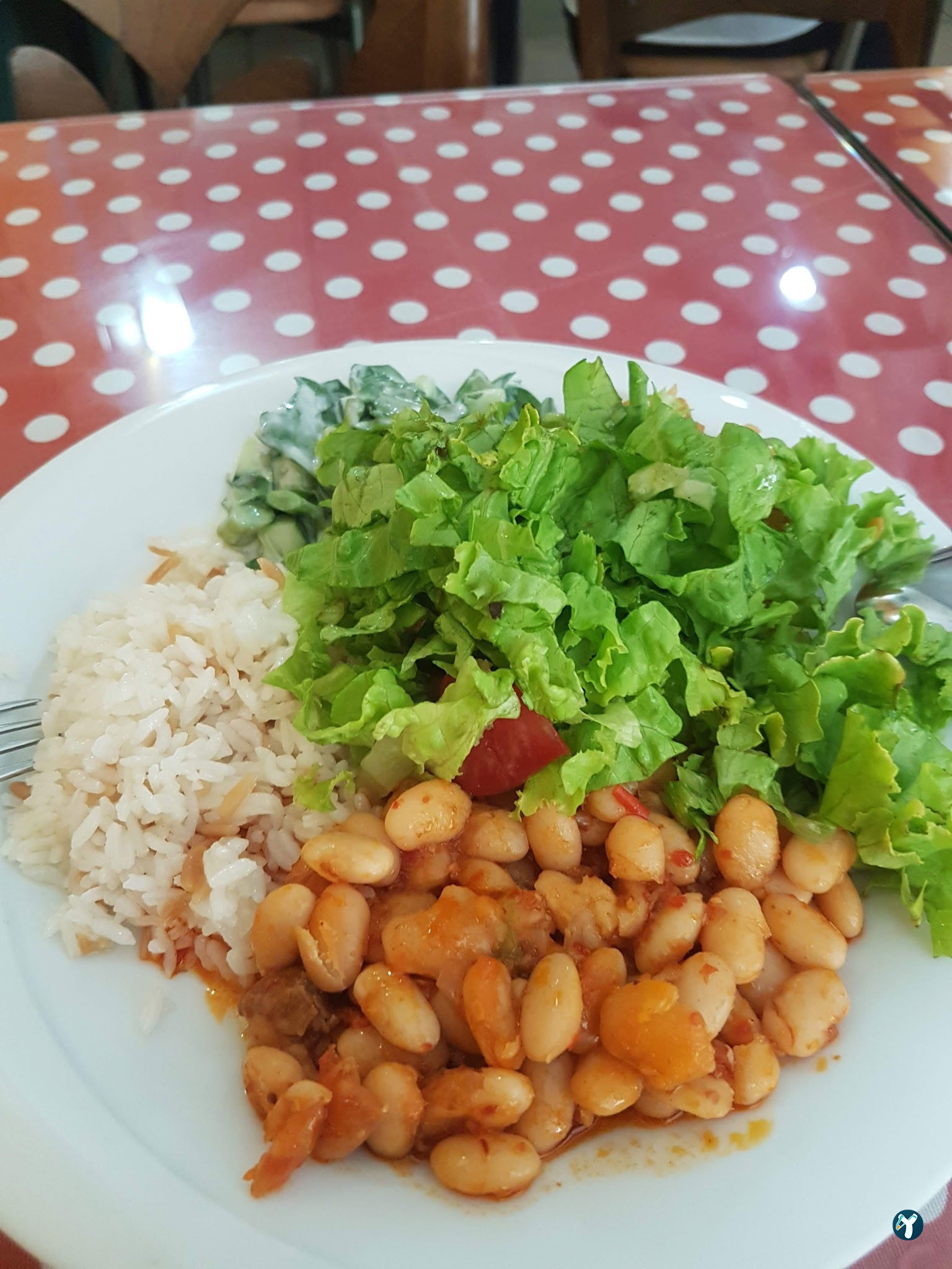 Renkli Bahçe Kafe