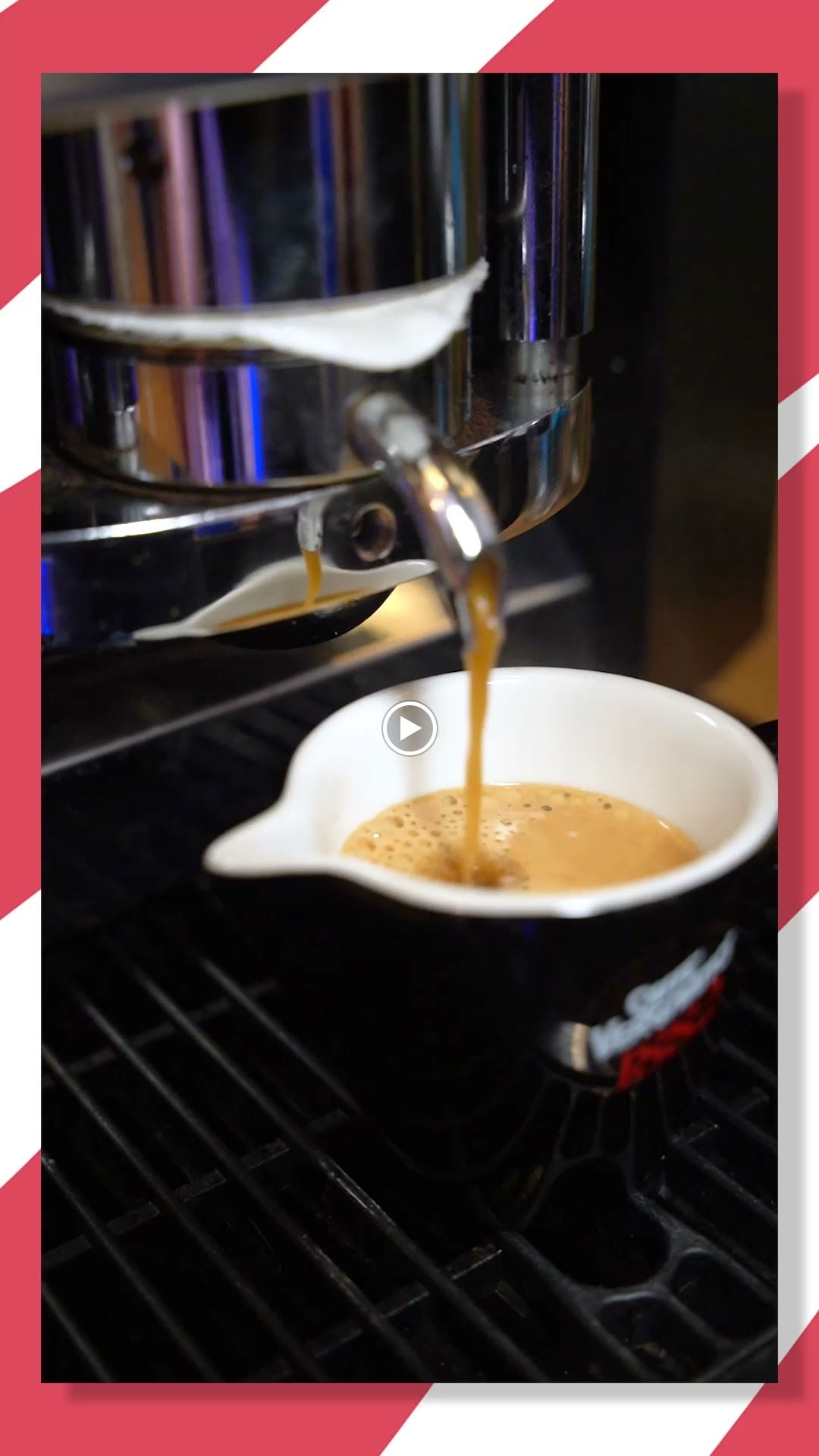 Hadi Balık Bistro Bodrum