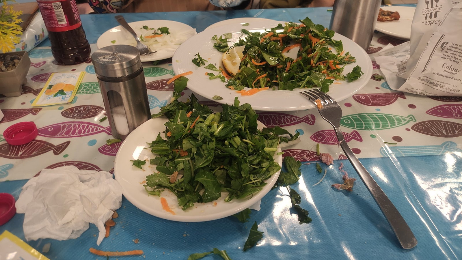 Roka Balik Örnekköy