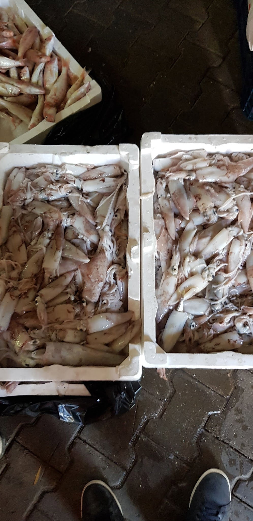 Sahil Balık Restaurant