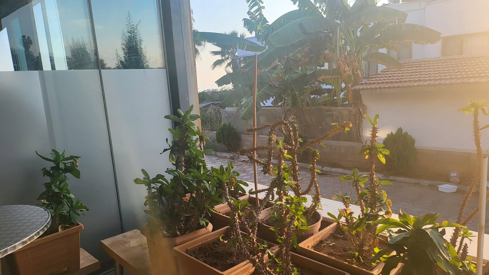 Sahil Balık Restaurant