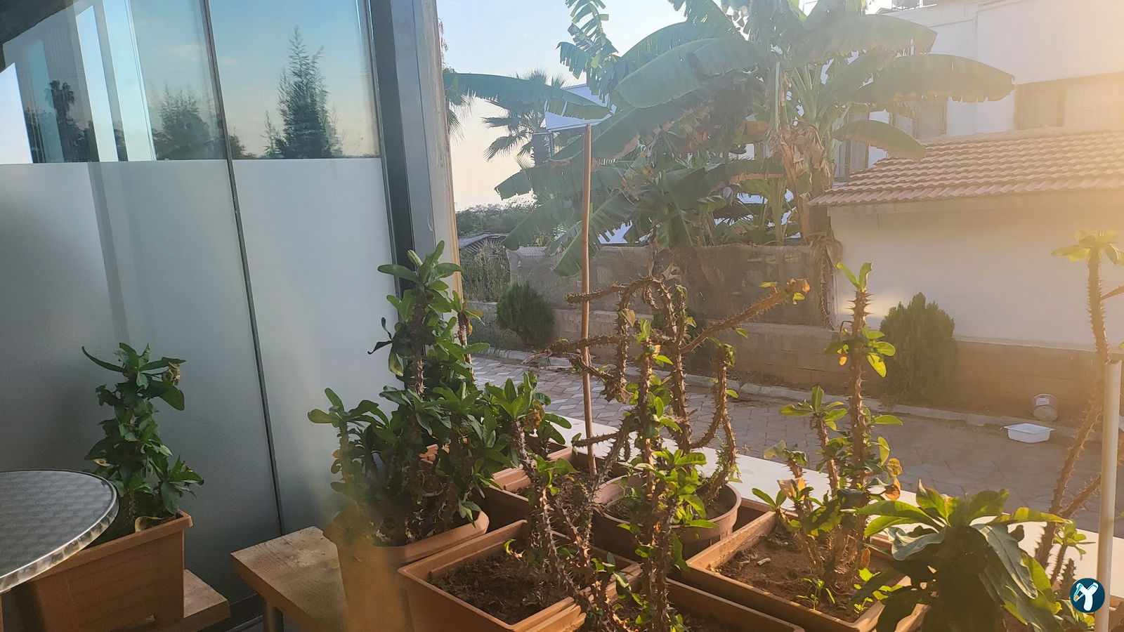 Sahil Balık Restaurant