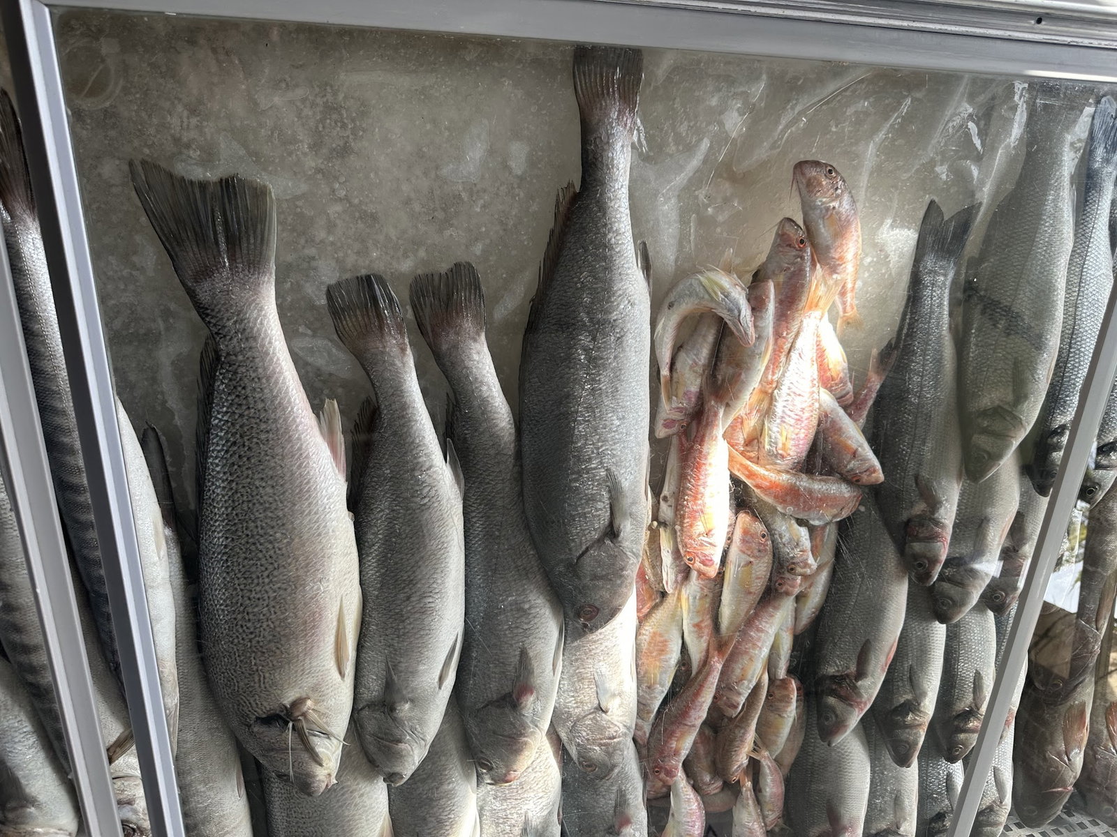 Sahil Balık Restaurant