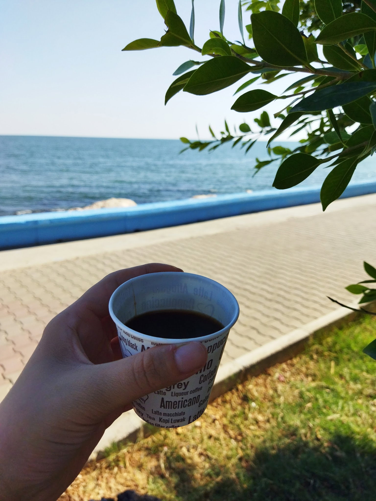 Sahil Balık Restaurant