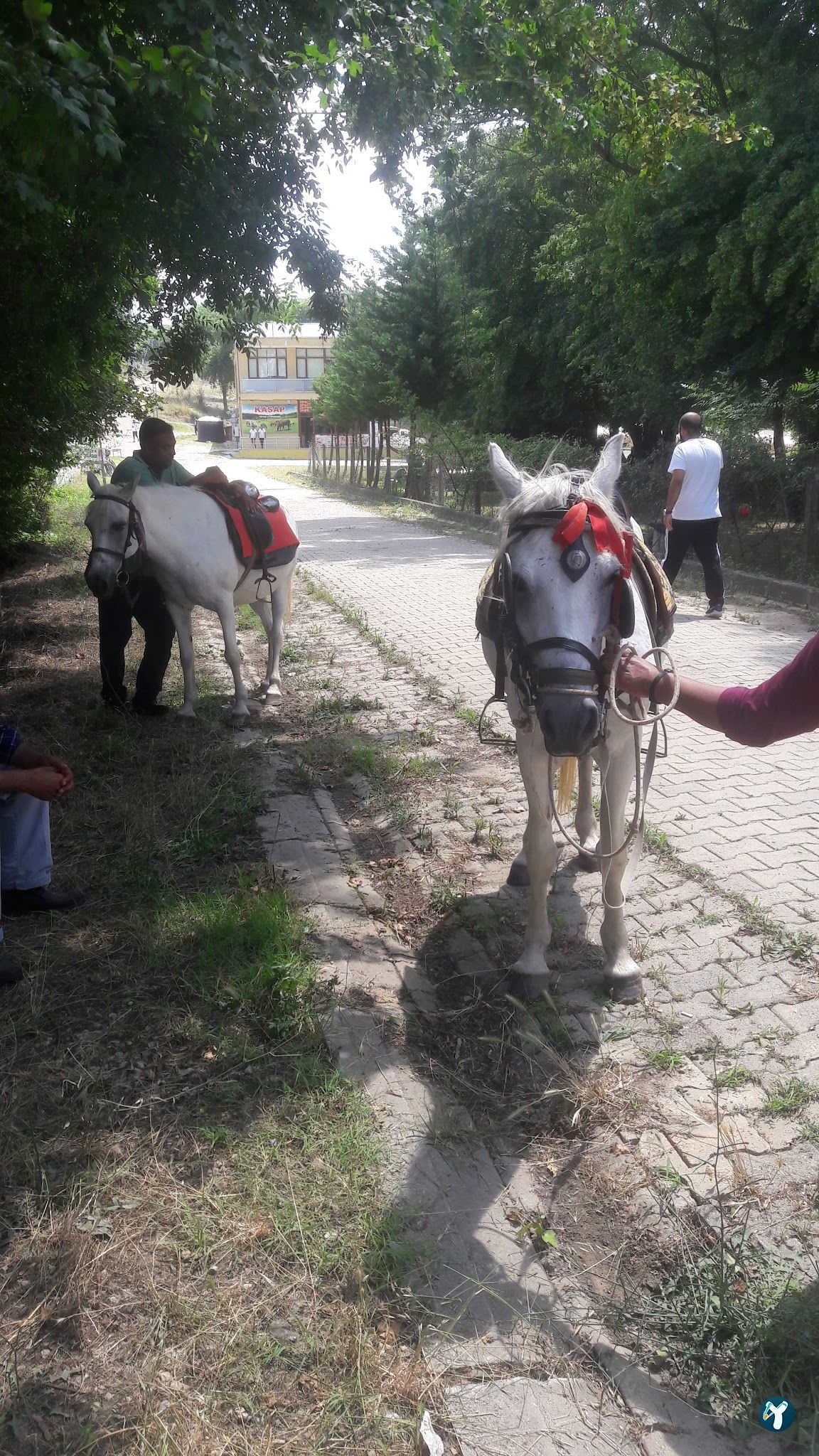 Çınar Et Mangal