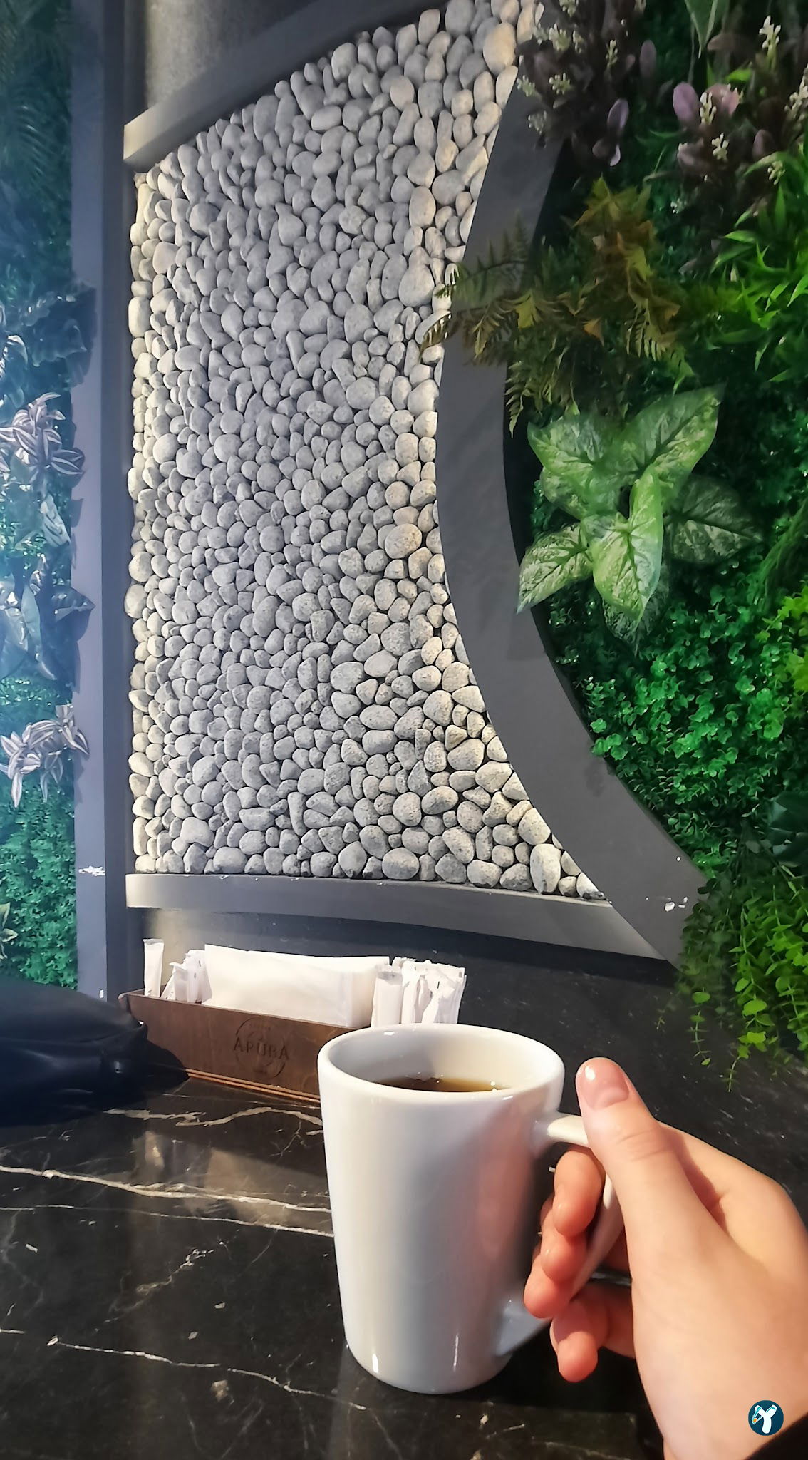 Aruba Coffee