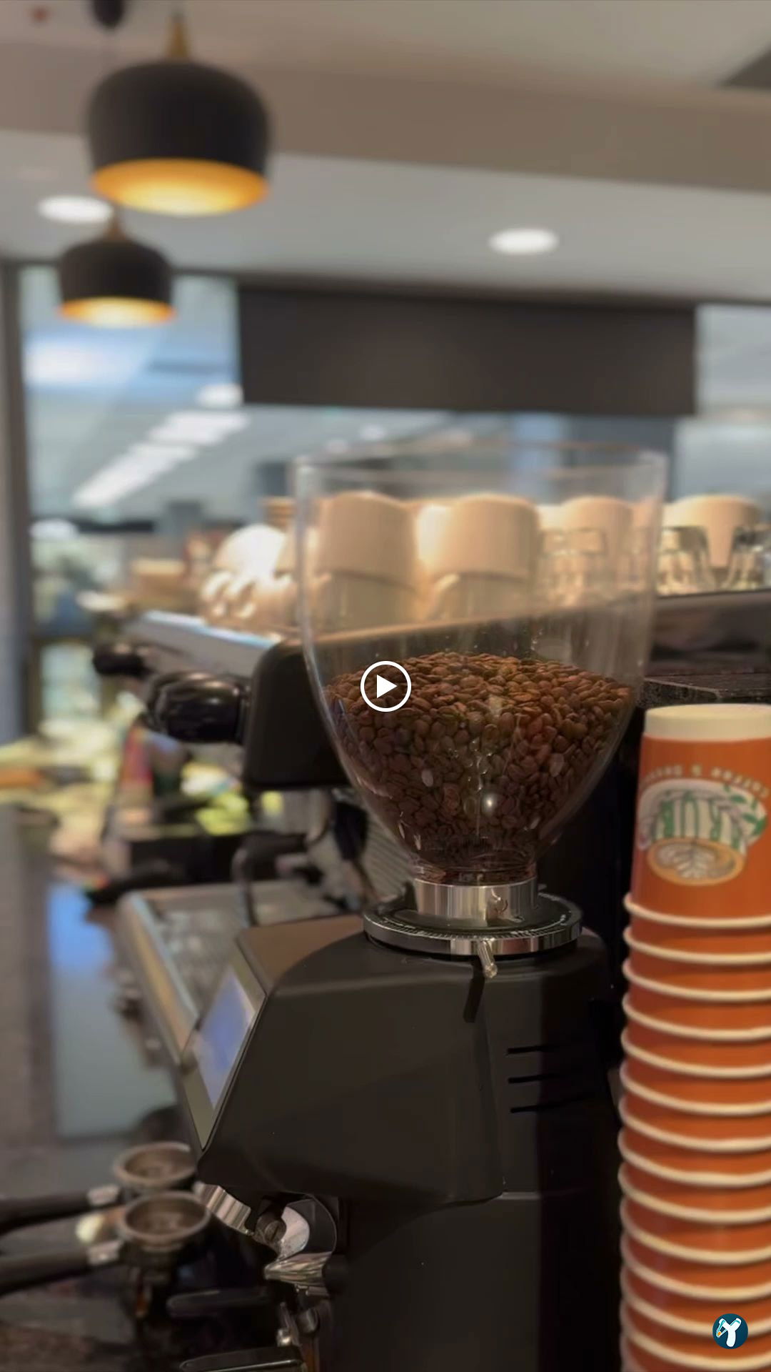 Aruba Coffee