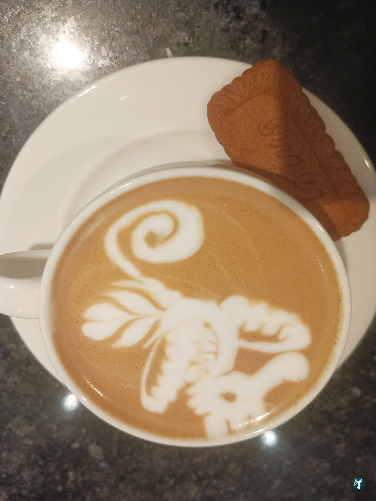 Aruba Coffee