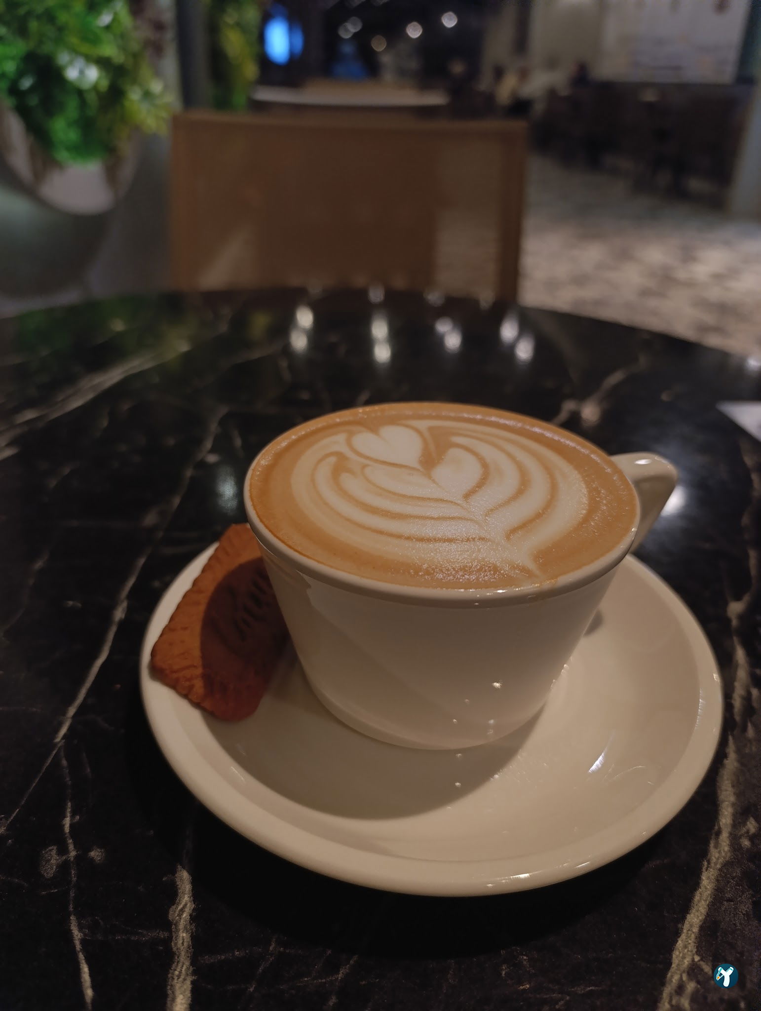 Aruba Coffee