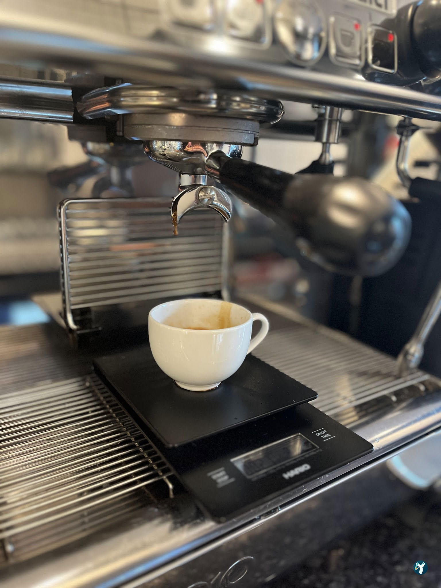 Aruba Coffee