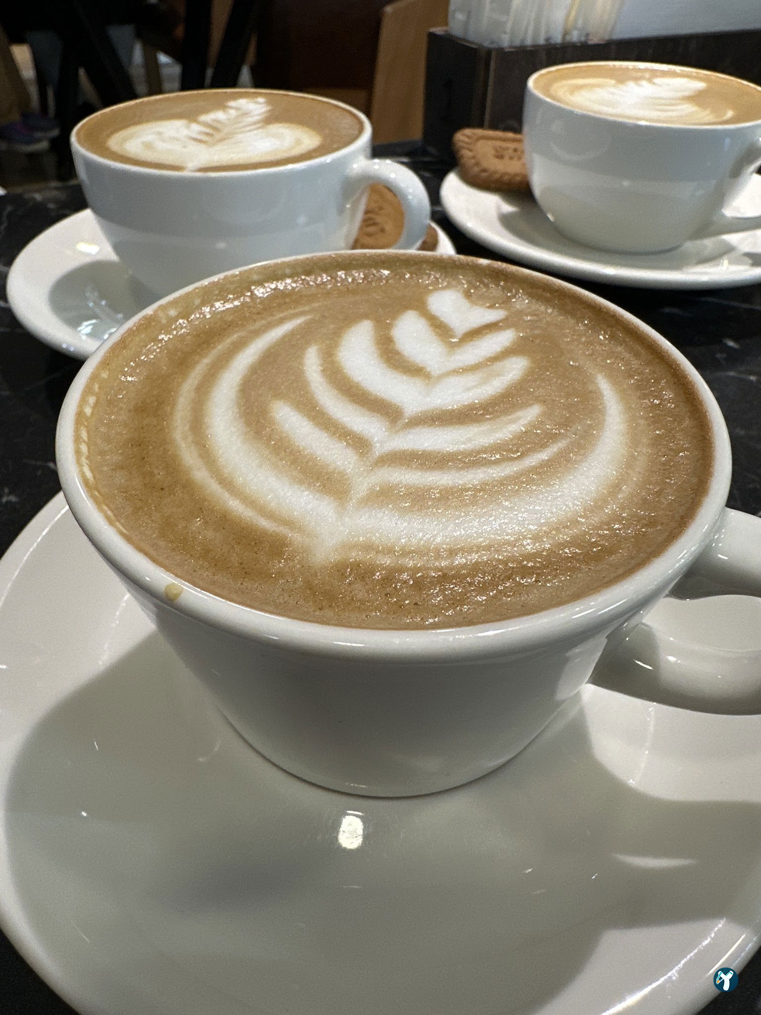 Aruba Coffee