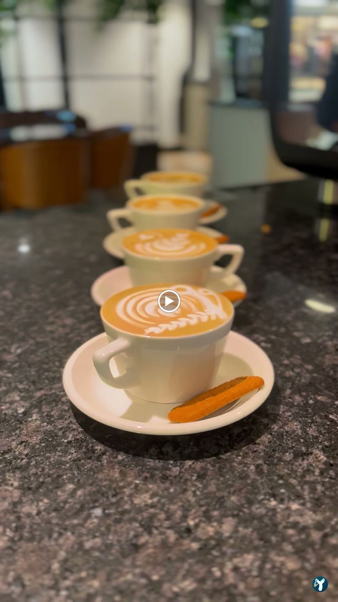 Aruba Coffee