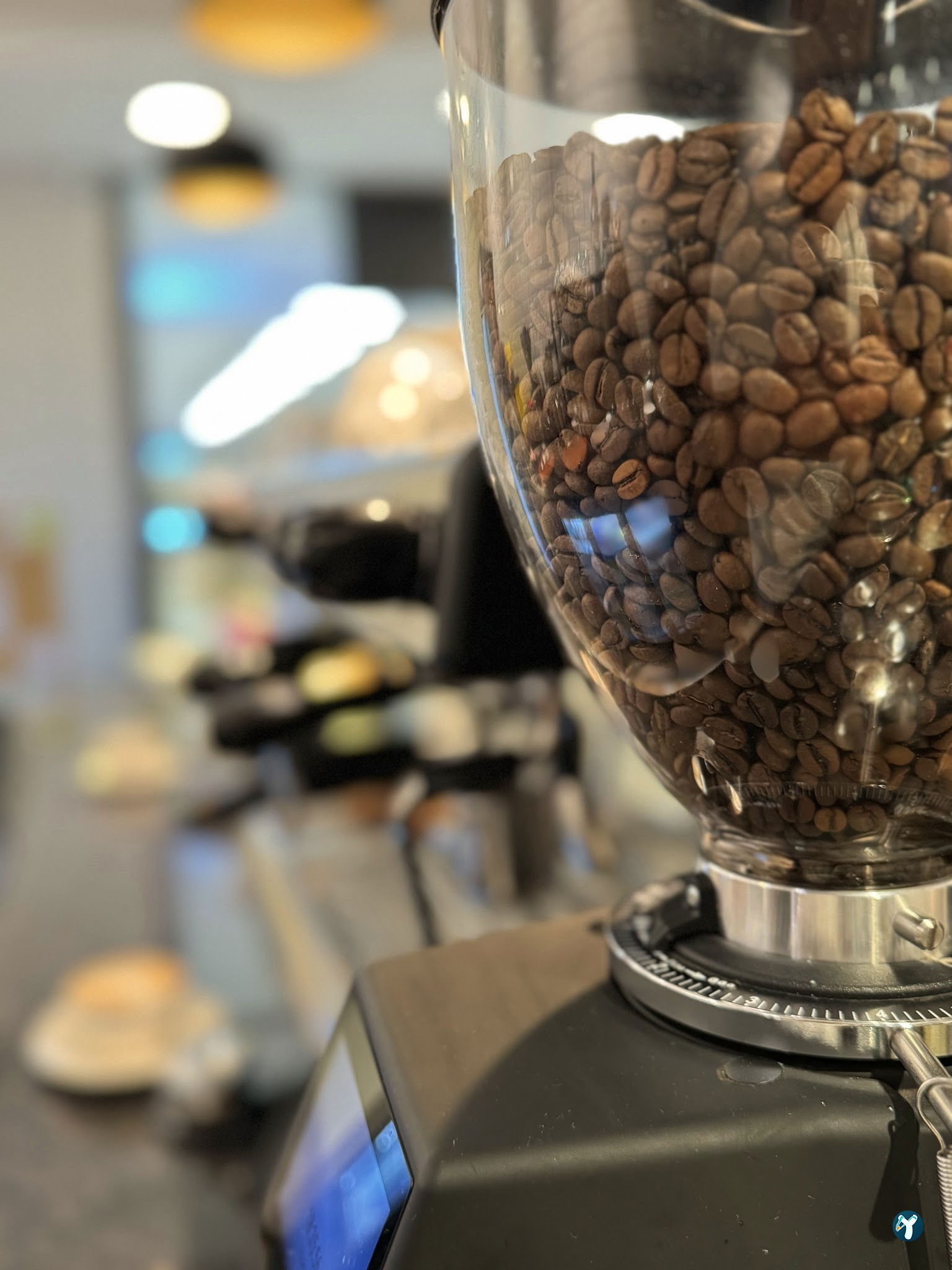 Aruba Coffee