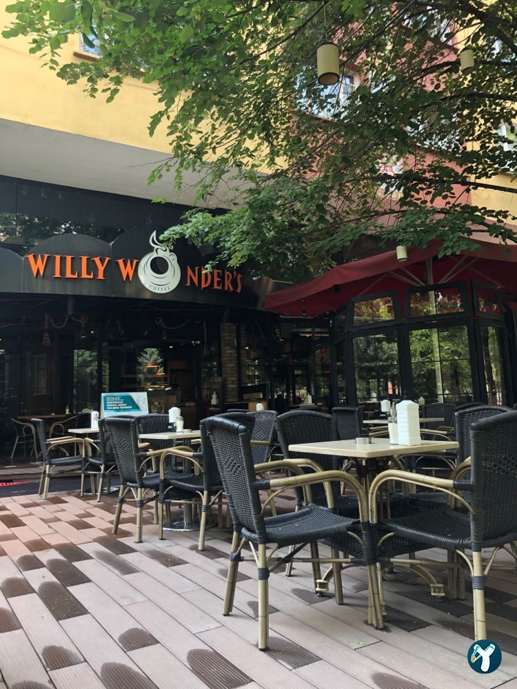 Willy Wonder’S