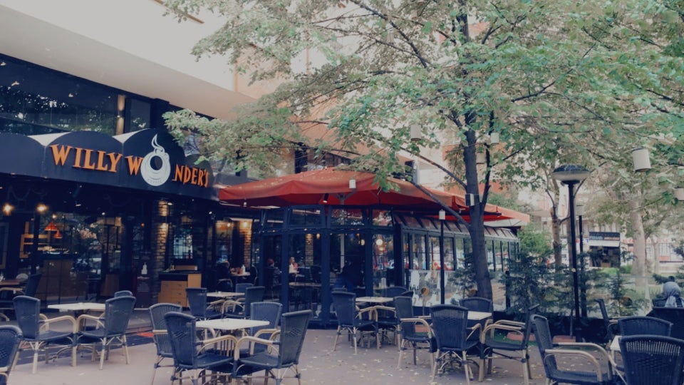 Willy Wonder’S