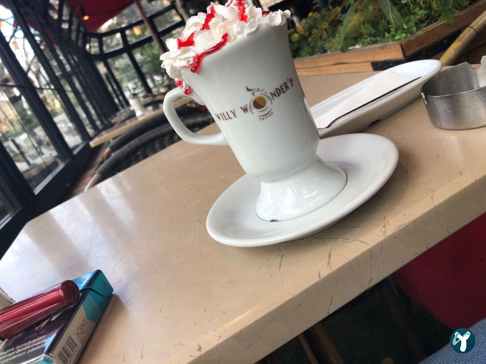 Willy Wonder’S