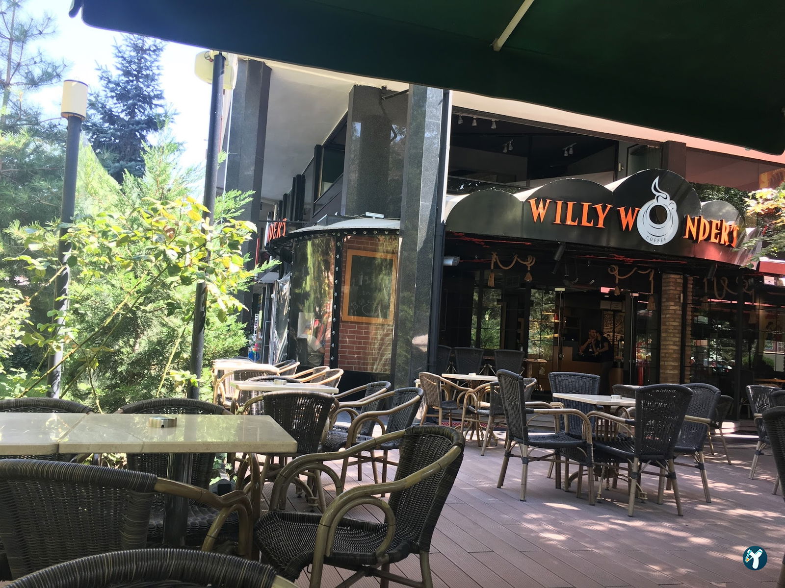 Willy Wonder’S