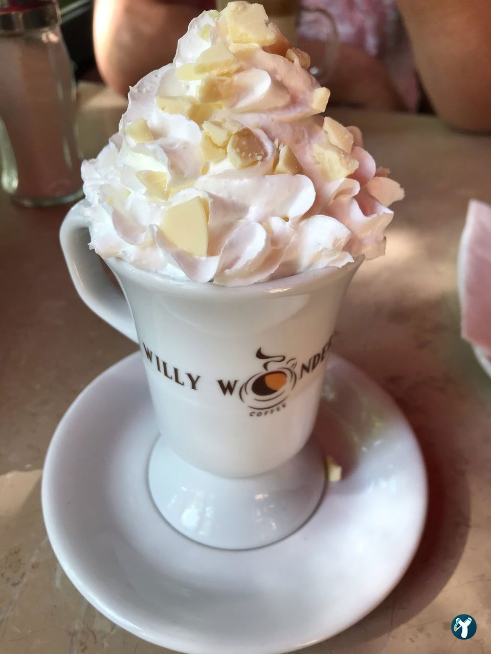Willy Wonder’S