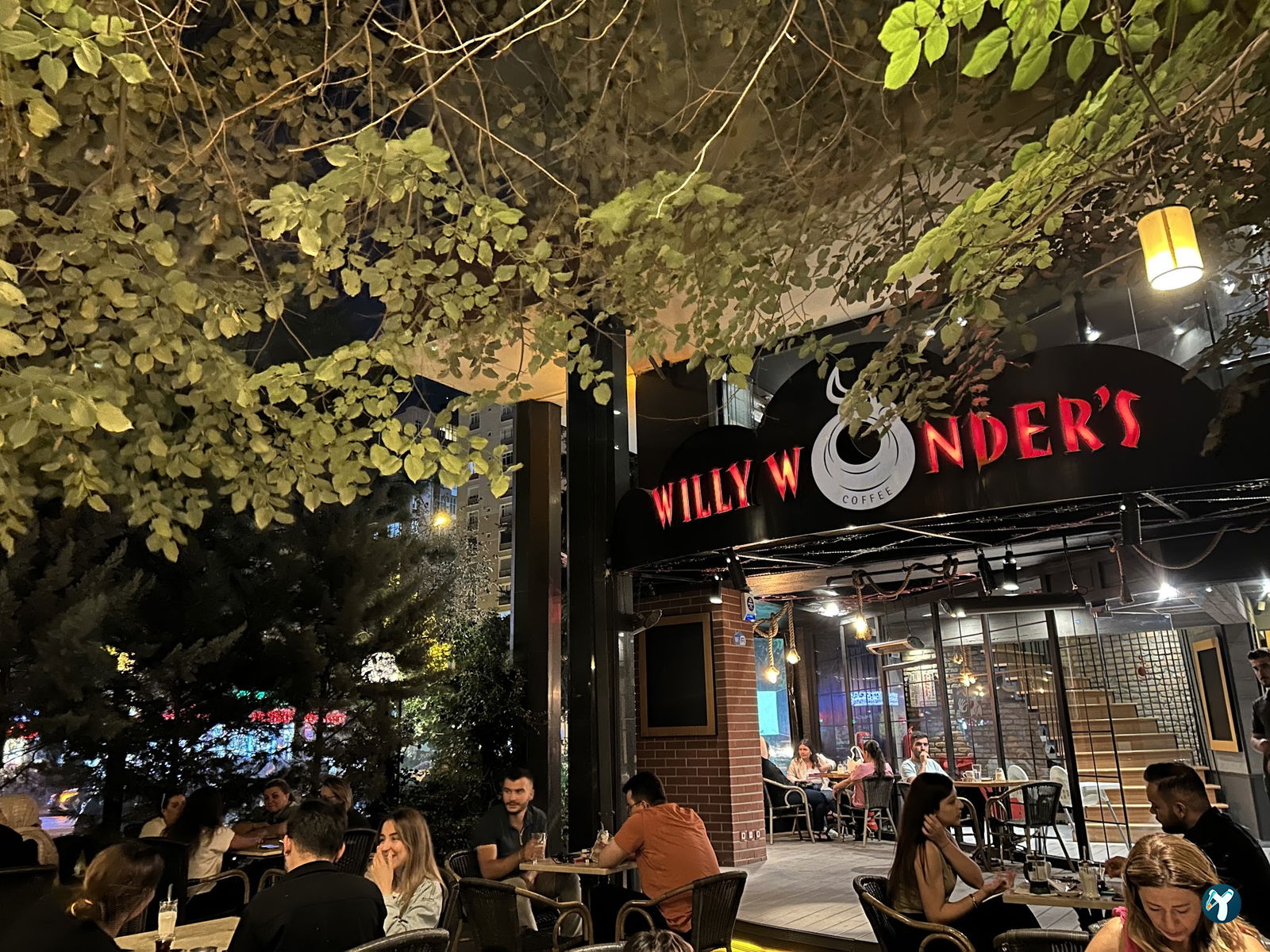 Willy Wonder’S