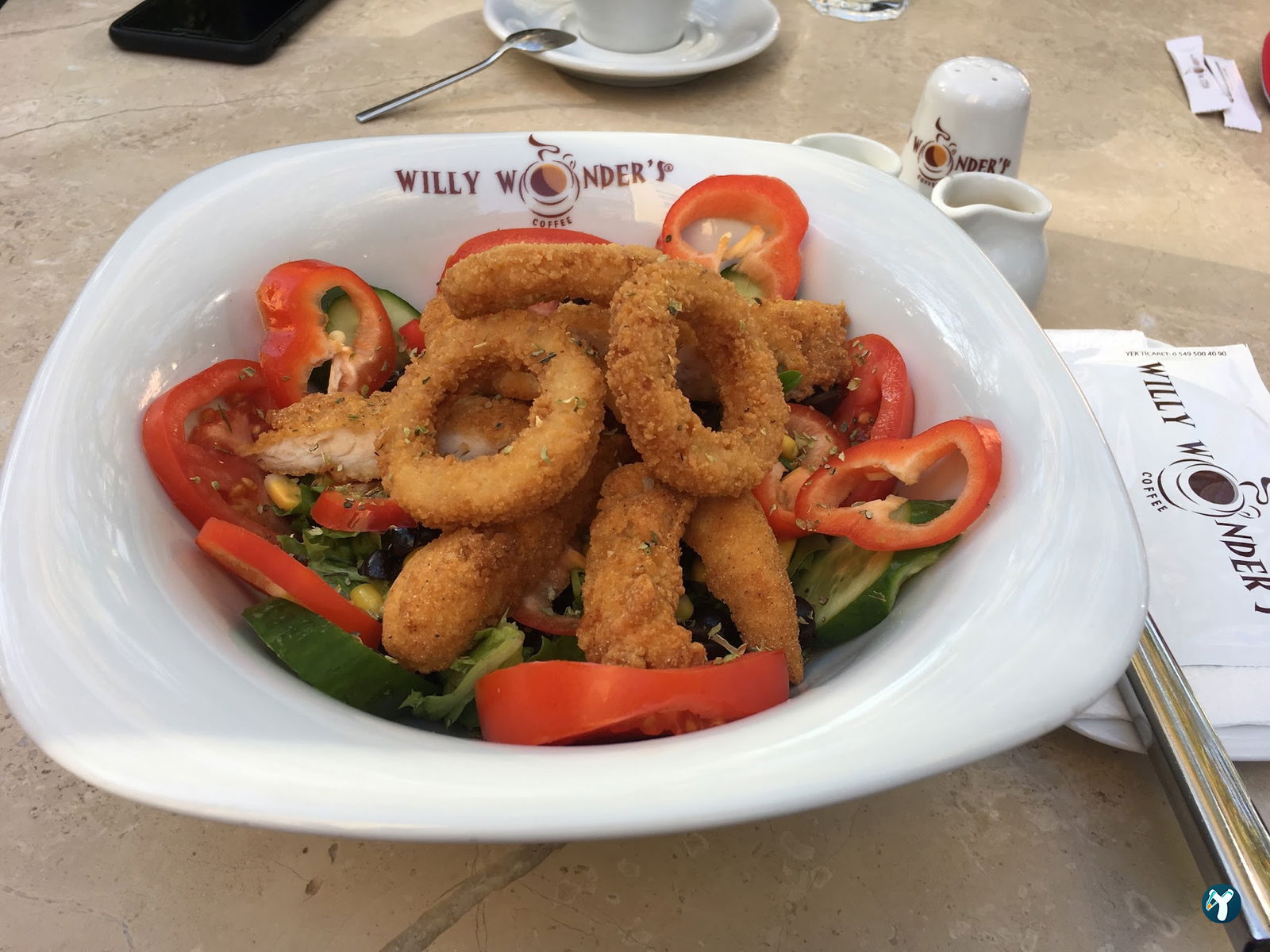 Willy Wonder’S