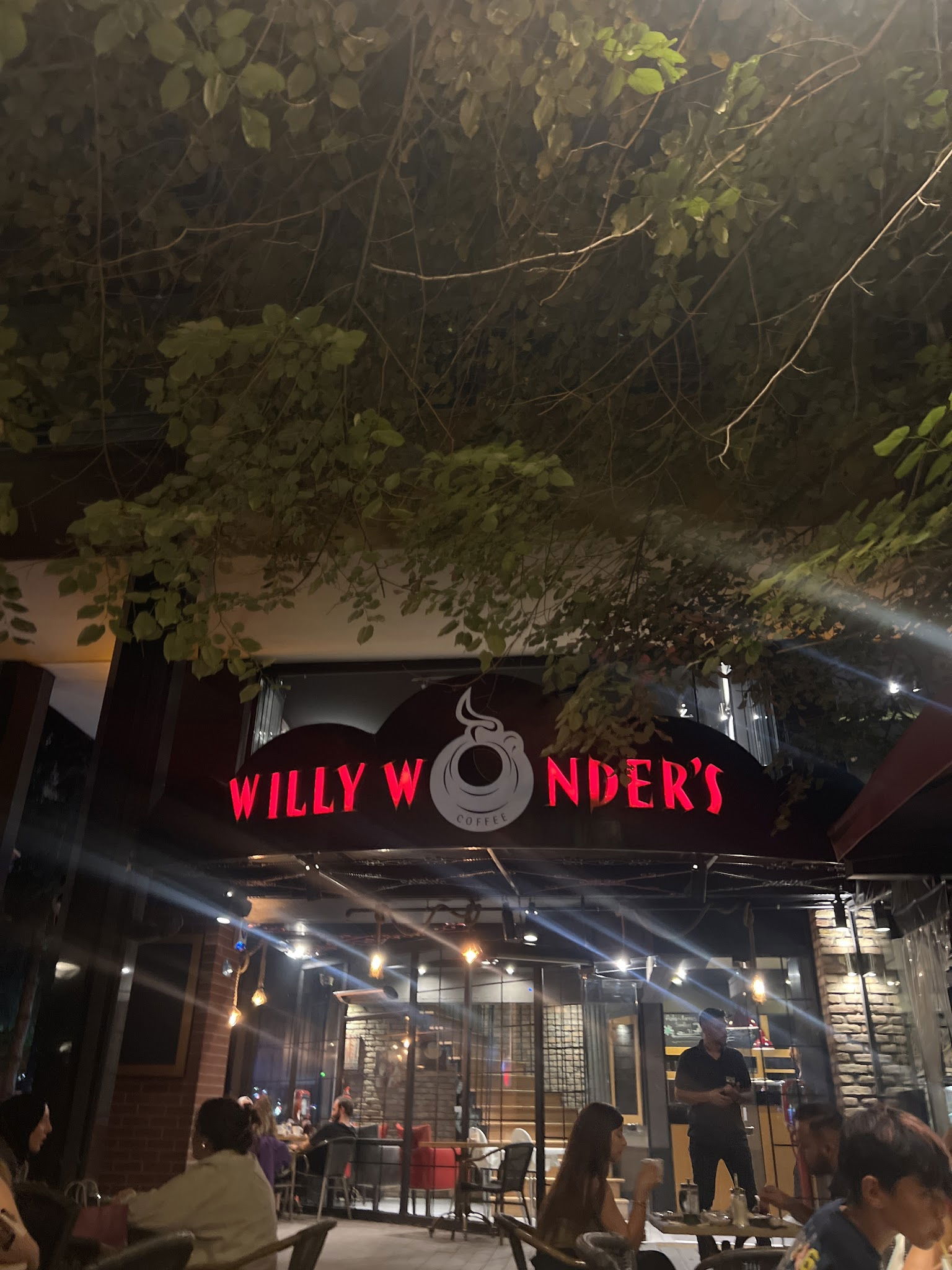 Willy Wonder’S
