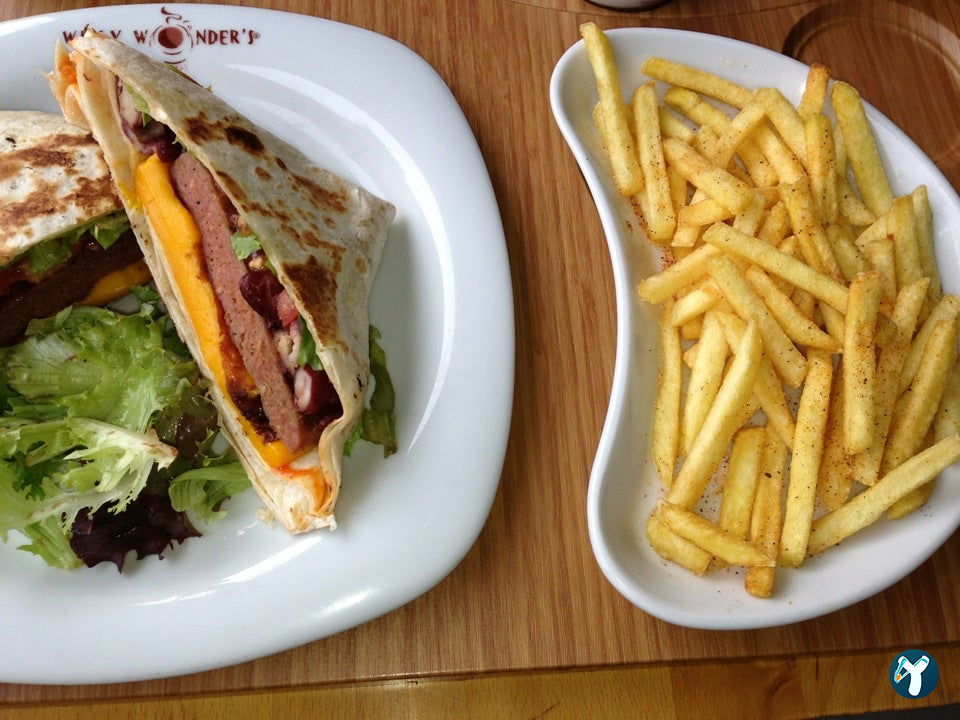 Willy Wonder’S