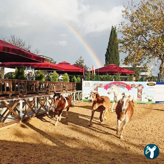 Sancaktepe Ali Babanın Çiftliği Ve Restaurantı