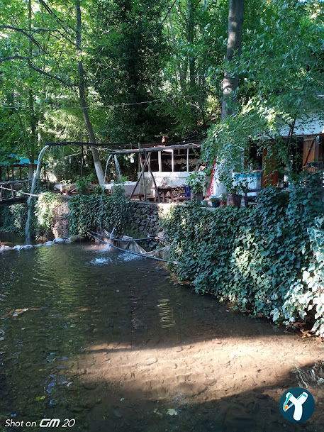 Çapari Restoran