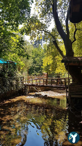 Çapari Restoran