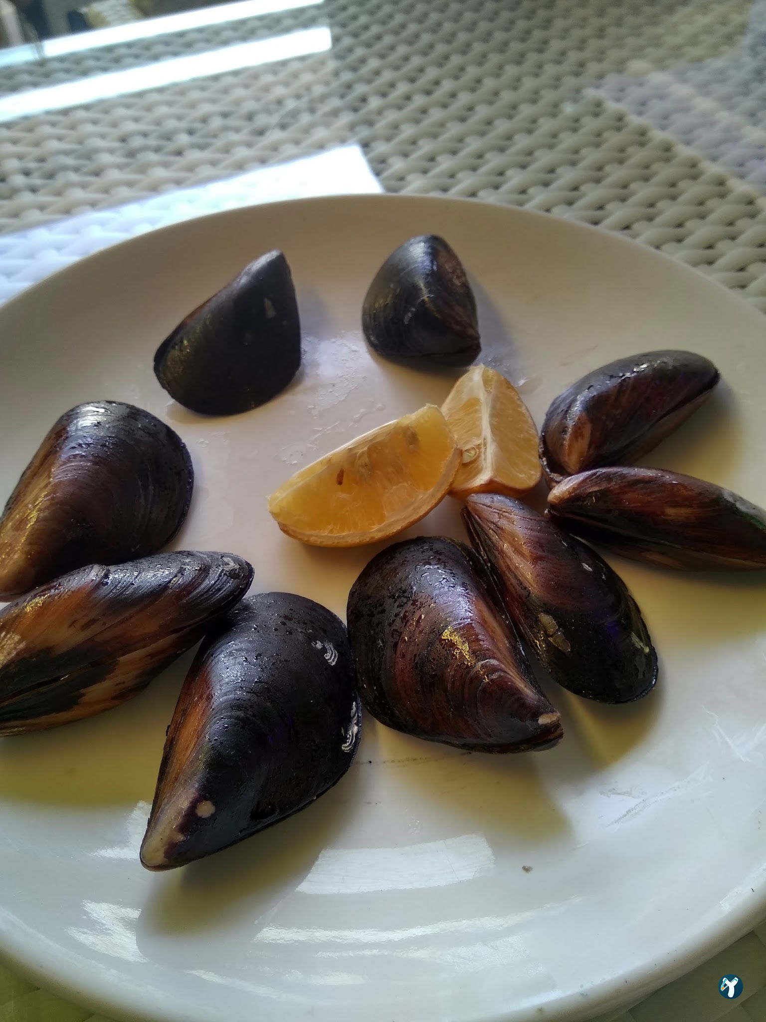 Feluka Seafood Restaurant