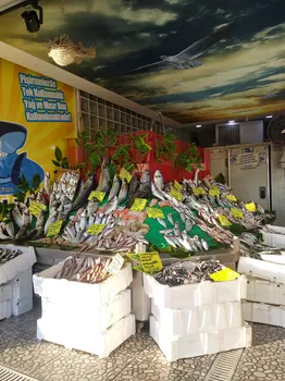 Feluka Seafood Restaurant resimleri Feluka Seafood Restaurant resimleri